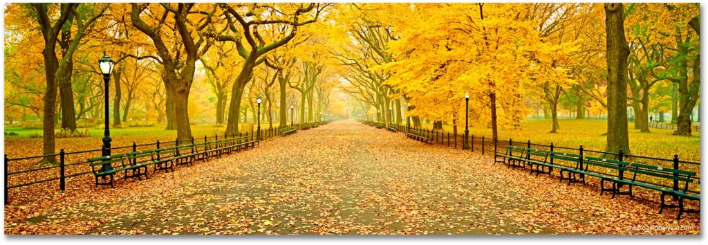 central-park-new-york-panoramic-fall-autumn-literary-walk-high ...